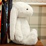 Long Eared Rabbit Plush Toy Soft Stuffed Doll Pendant Baby Girls Birthday Gifts Rabbit Grab Machine Throwing Doll