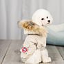 Luxury Pet Clothes Popular Dog Clothes Pet Jacket for Puppy Teddy Hoodie Cat Dog Coat