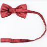 Men Formal Cotton Bow Tie Mens Classical Dot Bowties Women Colorful Butterfly Wedding Party Bowtie Tuxedo Ties