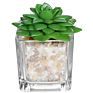 Mini Clear Glass Cube Planters Display Vases Artificial Succulent Plant Pots for Indoor Plants