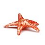 Murano Handicraft Glass Starfish for Paperweight and Home Decoration
