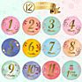 Myway Pregnancy Baby Boy Month 1-12 Monthly Milestone Baby Stickers, Baby Monthly Milestone Stickers