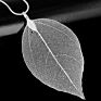 Natural Genuine Leaf Specimen Pendant Gold Plated Necklace Sweater Chain Leaf Necklace