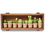 Needle Felting Supplies Kit Wool Felt Starter Set Succulent Plants and Cactus 8-In-1 Pack Easy to Follow Full Range