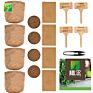 Non Gmo Herb Plant Diy Natural Bonsai Herb Garden Starter Kit for Decor