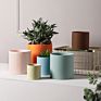 ceramic flower pot