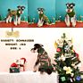 Pet Sweater Dog Clothes Knit Pet Sweater Christmas Pet Dog Sweater Holiday