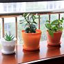 Plastic Plant Pot with Saucer, Decorative Plastic Gardening Flower Pot