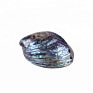 Polished Abalone Shell Paua Jewelry