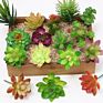 Price the Newest Artificial Succulent Plants Arrangement Faux Mini Cactus Succulents