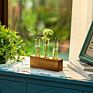 Propagation Test Tube Station 3 Glass Test Tube Vase Planter for Hydroponic Plants Home Garden Decoration - 3 Test Tube