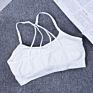 Push up Yoga Sport Seamless Tube Bra Breathable Wireless Yoga Bra Cross Straps Beautiful Back Bra for Fitness Gym