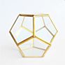 Qy Diamond Shape Hanging Miniature Air Plants Glass Terrarium Vase for Wedding Home Decor