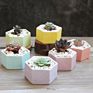 Rainbow Hexagon Flower Pot Ceramic for Planter