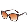 Retro Big Frame Cat Eye Sunglasses with Metal Hinges European and American Trend Sunglasses Women