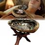 Robin Crystal Abalone Shell Sage Set Cleansing Smudge Kit for Healing