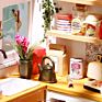 DIY Doll House