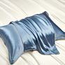 Silk Pillow Case