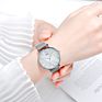 Sinobi Elegant Ultra Thin Lady Watch Shiny Pearl-Shell Dial Roman Number Index Steel Mesh Belt Watch Quartz Silver Watch S9709L