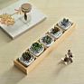 Spot Succulent Flowerpot Wooden Box 5 Grid Mutuo Succulent Wooden Box Processing Customization