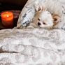 Stock Lot Big Chunky Jacquard Animal Print Leopard Knit Throw Blanket for Home Decor