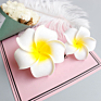 Style Sunny Bright Plumeria Flower Foam Hair Clips 3 Sizes Barrettes Hairpins Headwear Hair Accessories Kids Girls Women