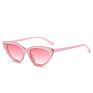 Tu-Gem Newest Women Cat Eye Sun Glasses Ladies Shades Small Triangle Cateye Sunglasses