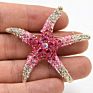 Woman Gift Clear Crystal Customized Mixed Colorful Full Rhinestone Starfish Pins Men Brooch
