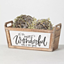 Wood Planter Box Wooden Boxes for Decorating Empty Flower Box