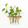 Wooden Stand Popular Hanging Planter Vase Glass Tube Hanging Plant Terrarium Container