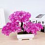 Yiwan Wholesalebonsai Welcoming Pine Multi Shape Lifelike Live Table Small Bonsai Outdoor Home Decoration Plastic Bonsai
