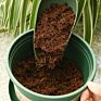 100% Organic 650G Compressed Coco Coir Peat Brick Pith for Harvesting