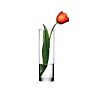 10 Inch 12Inch Cylinder Flower Restaurant Table Hand Blown Glass Vase