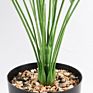 Acrylic Artificial Plant