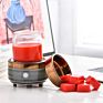 2 in 1 Fragrance Oil Warmer Electric Wax Warmer Candle Melt Burners for Spa and Aromatherapy Use