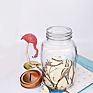 32Oz Glass Mason Jar with 70Mm Coin Bank Lids for Gift