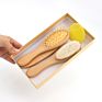 3Pcs Natural Beech Wood Mini Goat Bristle Hair Brushes and Comb with Gift Box Baby Hair Brush Comb Set