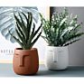 5Inch Cement Face Pot Concrete Head Pot for Home Deco Modern Face Planter Cement Head Planter Human Face for Succulent Plant