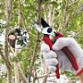 7.5" Bypass Pruning Scissor Branch Garden Pruner Garden Floral Secateurs Garden Pruning Shear