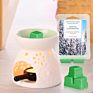 Aroma Four Flavors 6 Clud Soy Wax Melts Scented