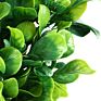 Artificial Boxwood Wreath Mini Green Wreath and Garland for Home Party Decoration