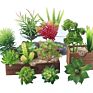 Artificial Mini Succulent and Cactus Succulent Pots Plant for Home Decoration