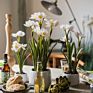 Artificial Plants in Pots Daffodils Artificial Flower Plant Desktop Artificial Flowers Artificial Plants and Flowers