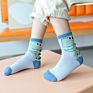 Baby Socks Set 5 Pack Infant Combed Cotton Dinosaur Spring Kids Crew Dress Cute Cartoon Socks