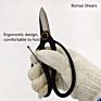 Carbon Steel Flower Garden Tool Bonsai Scissors