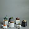 Circle Cement Flower Pots Nordic Concrete Decorative Table Flower Pots in White Pot Flower Garden Hotel