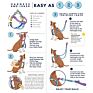 Classic Design Adjustable Gentle Comfortable Control Freedom No Pull Dog Harness for Easy Dog Walking