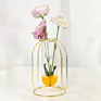 Clear Geometric Plant Pot Centerpiece Plant Vase with Iron Art Frame Stand
