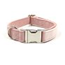 Competitive Price Bow Tie Attractive Design Adjustable Metal Buckle Dog Pink Leash Velvet Set and Collar Luxury