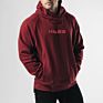 Cotton Elastane Casual Wear Blank Hoodie for Men